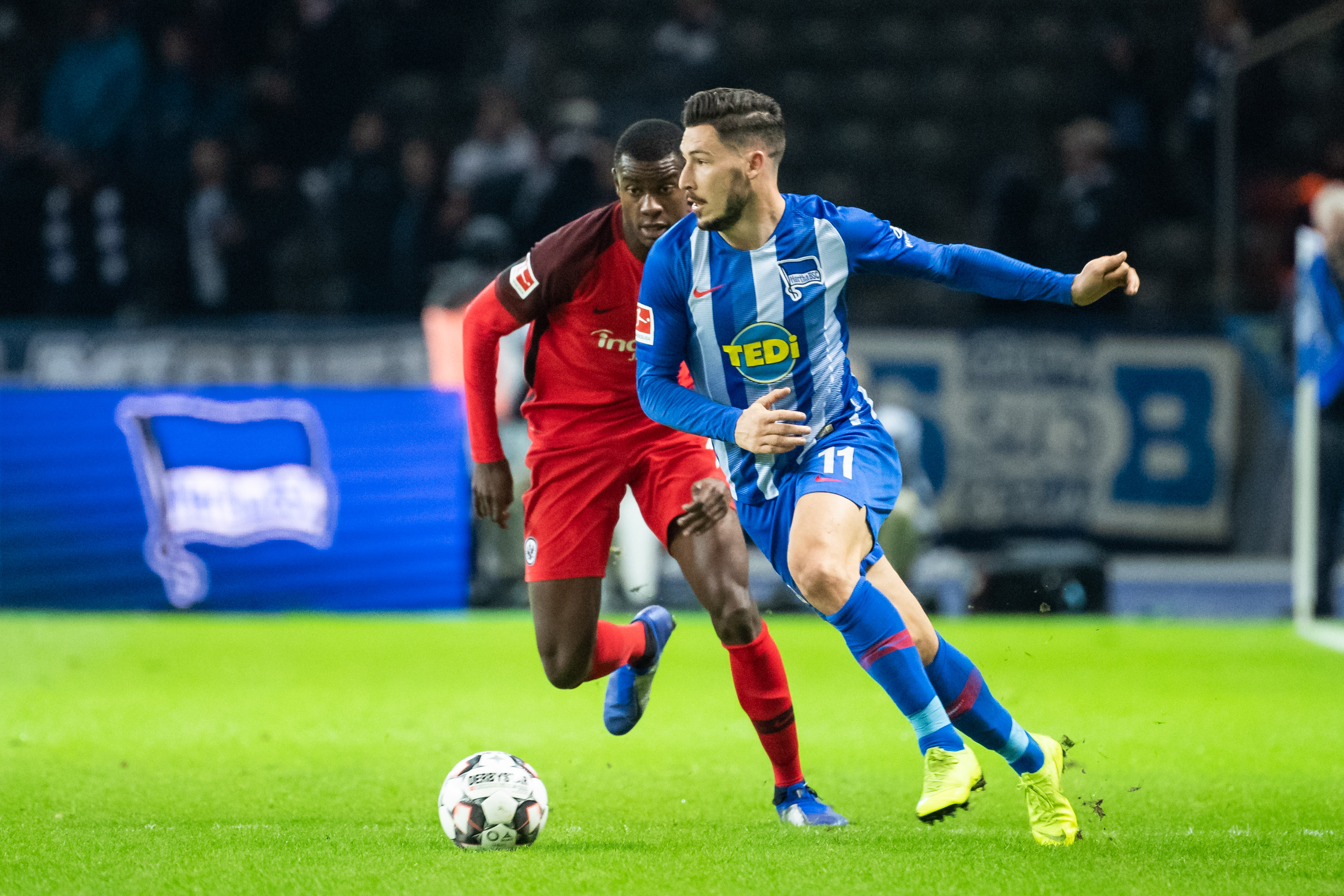 稳固在灰熊 稳固在灰熊