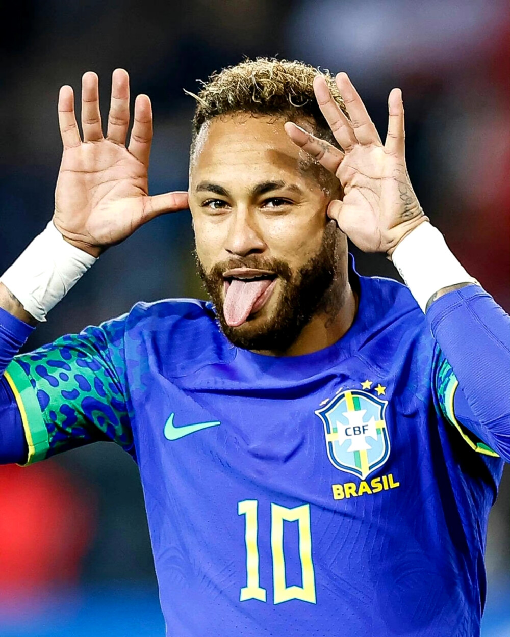 也采取了严 也采取了严