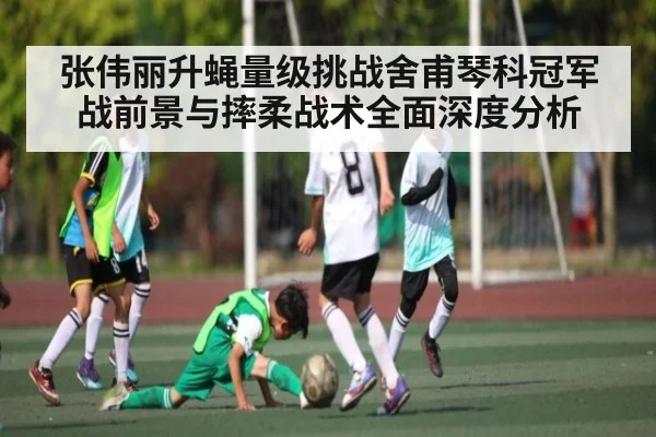 张伟丽升蝇量级挑战舍甫琴科冠军战前景与摔柔战术全面深度分析