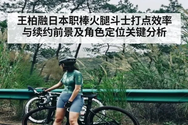 王柏融日本职棒火腿斗士打点效率与续约前景及角色定位关键分析